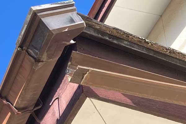 雨樋の詰まりや破損