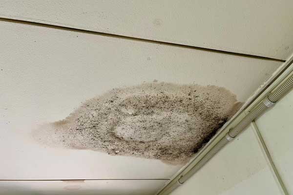 室内の天井や壁のシミ・カビ