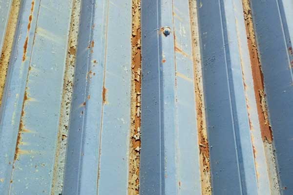 雨樋の詰まりや破損